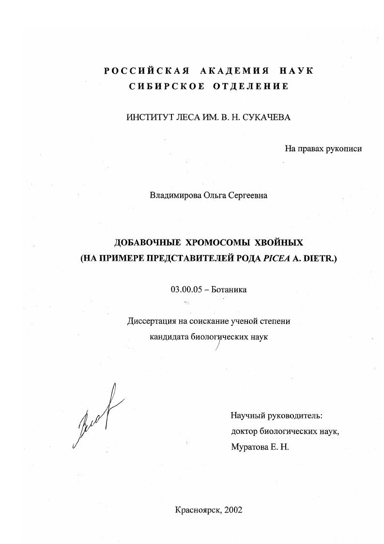 Добавочные хромосомы хвойных : На примере представителей рода Picea A. Dietr.