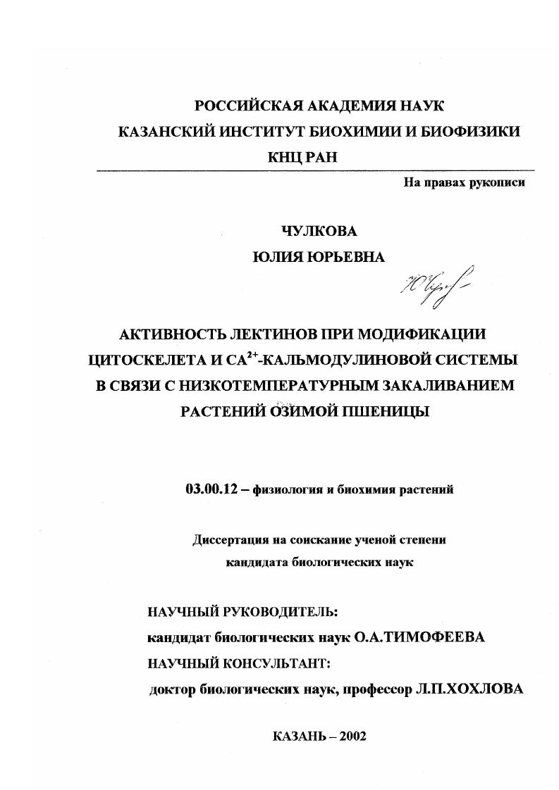 Активность лектинов при модификации цитоскелета и CA2+-кальмодулиновой системы в связи с низкотемпературным закаливанием растений озимой пшеницы