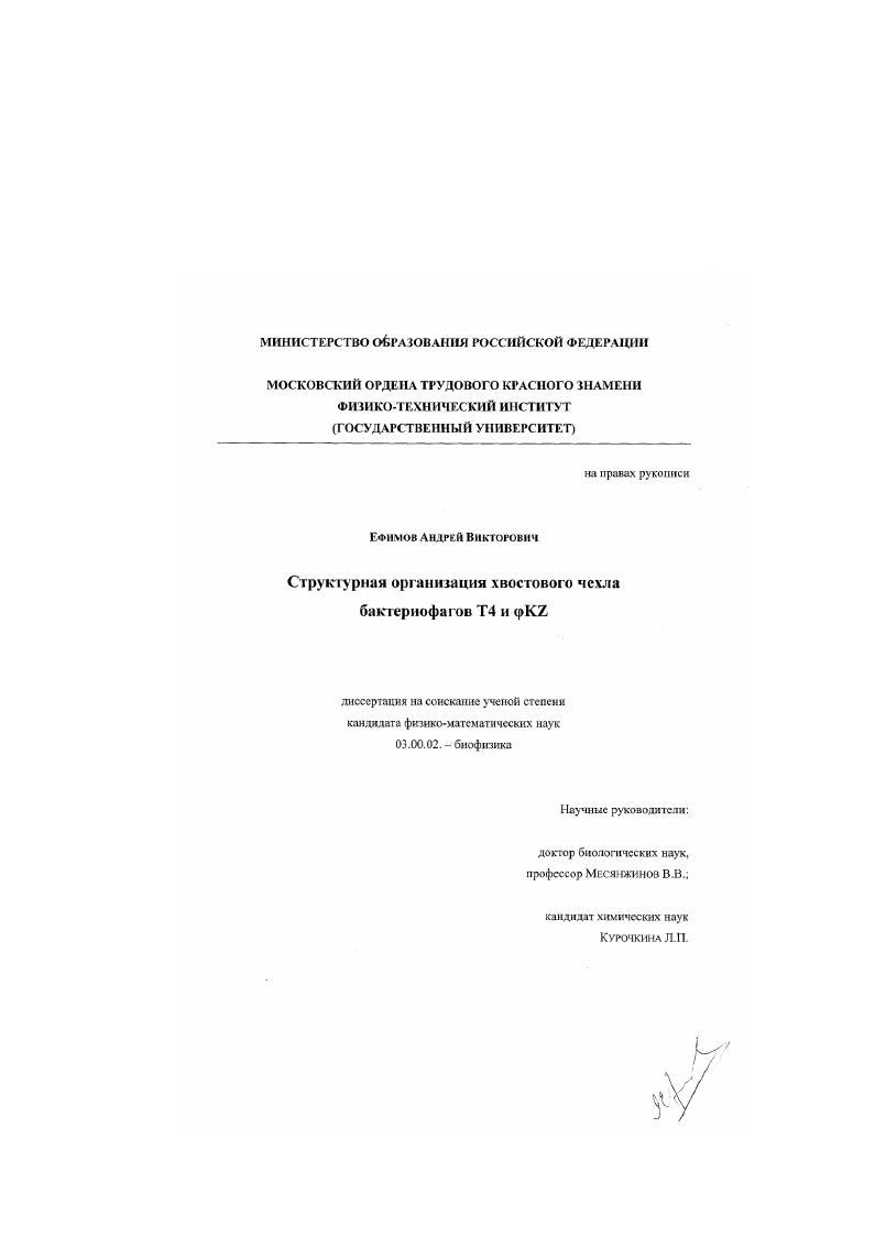 Структурная организация хвостового чехла бактериофагов Т4 и φ KZ