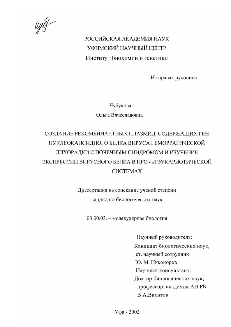 Создание рекомбинантных плазмид, содержащих ген нуклеокапсидного белка вируса геморрагической лихорадки с почечным синдромом и изучение экспрессии вирусного белка в про- и эукариотической системах