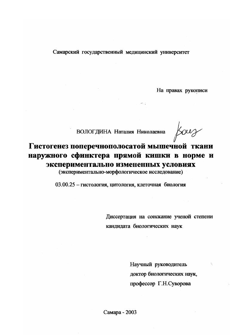Гистогенез поперечнополосатой мышечной ткани наружного сфинктера прямой кишки в норме и экспериментально измененных условиях : Экспериментально-морфологическое исследование