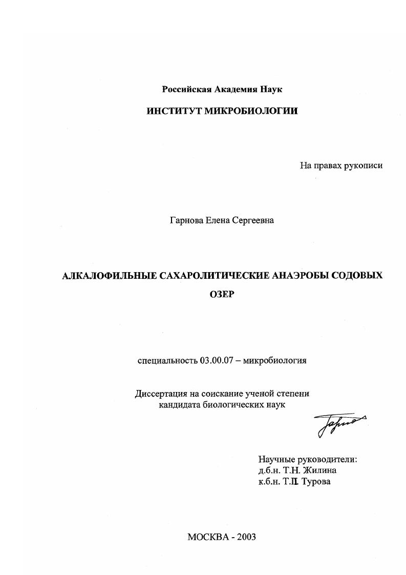 Алкалофильные сахаролитические анаэробы содовых озер