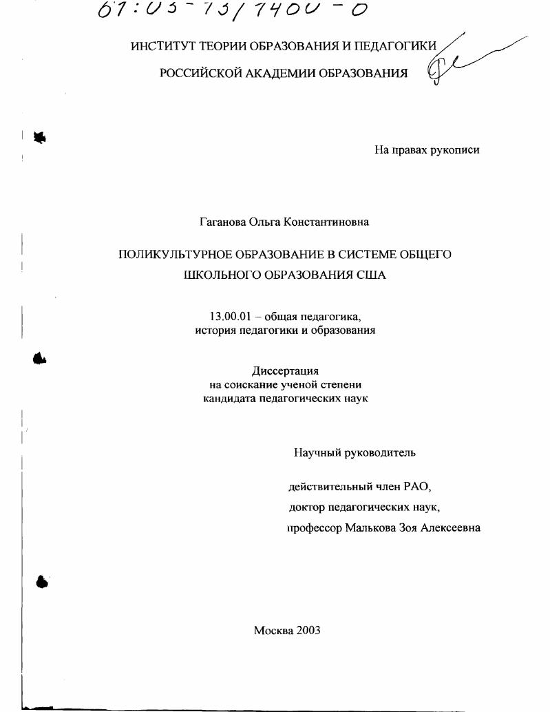 Поликультурное образование в системе общего школьного образования США