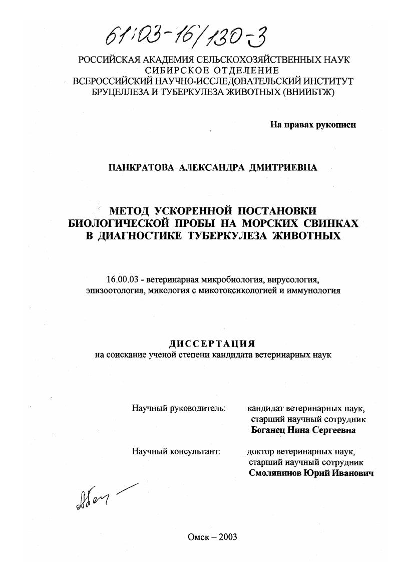 Метод ускоренной постановки биологической пробы на морских свинках в диагностике туберкулеза животных