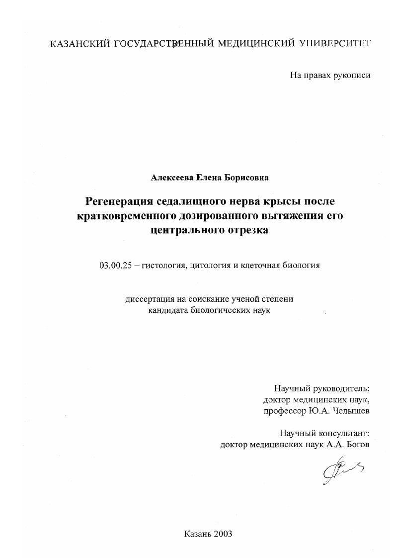 Регенерация седалищного нерва крысы после кратковременного дозированного вытяжения его центрального отрезка
