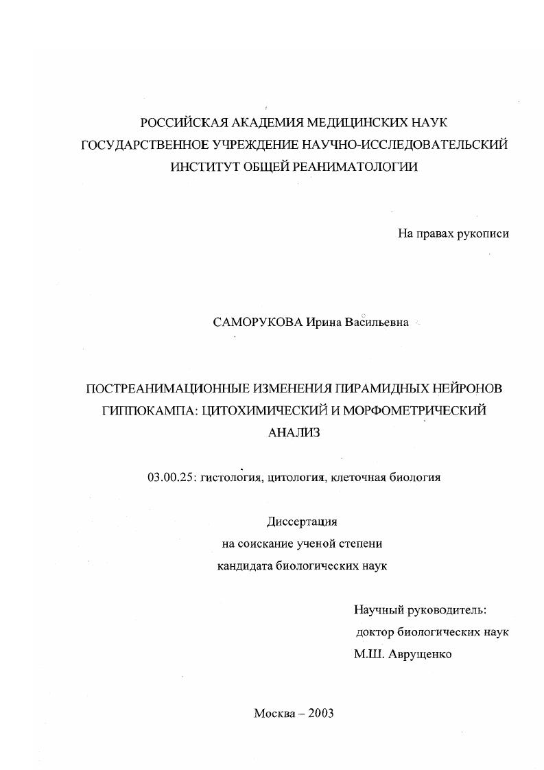 Постреанимационные изменения пирамидных нейронов гиппокампа : Цитохимический и морфометрический анализ
