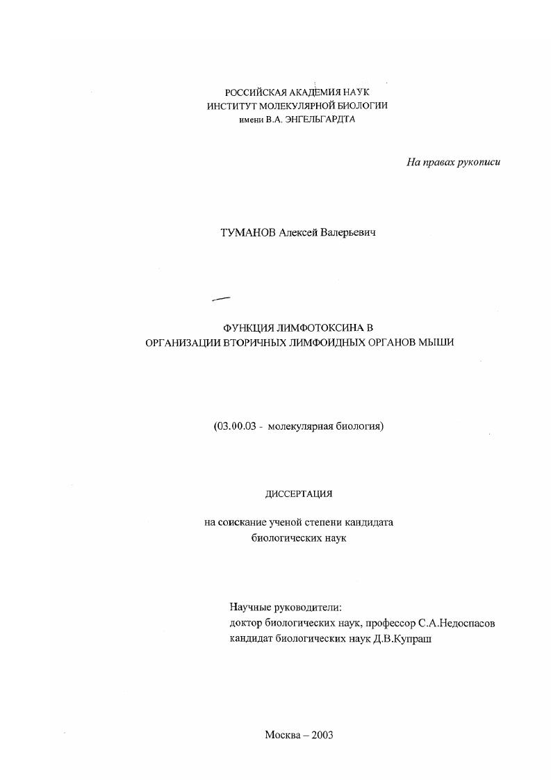 Функция лимфотоксина в организации вторичных лимфоидных органов мыши