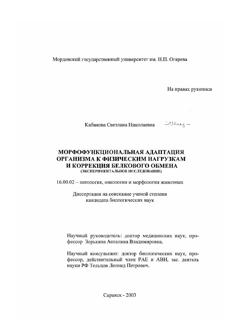 Морфофункциональная адаптация организма к физическим нагрузкам и коррекция белкового обмена : Экспериментальное исследование