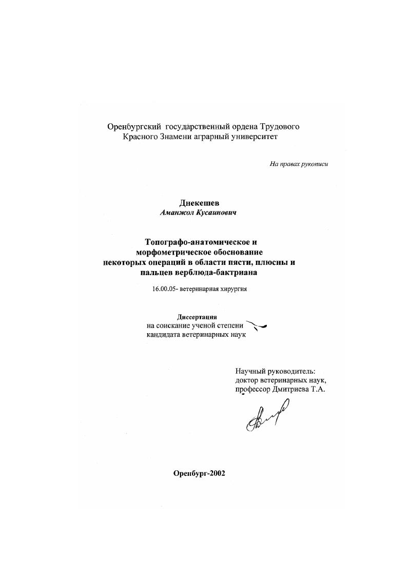 Топографо-анатомическое и морфометрическое обоснование некоторых операций в области пясти, плюсны и пальцев верблюда-бактриана