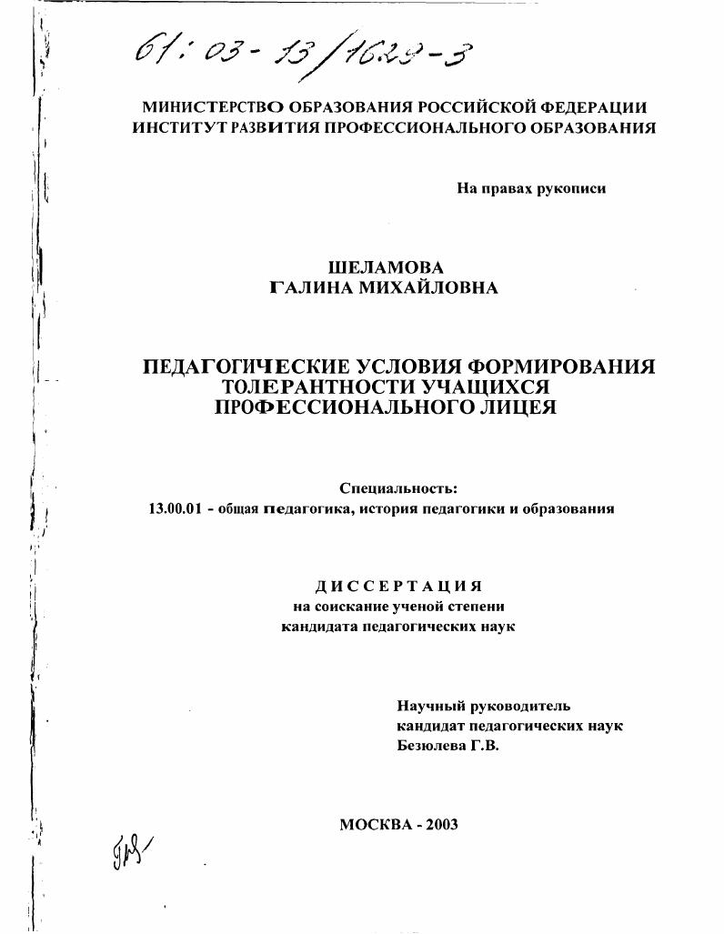 скачать диссертацию Педагогические условия формирования толерантности учащихся профессионального лицея Педагогические условия формирования толерантности учащихся профессионального лицея