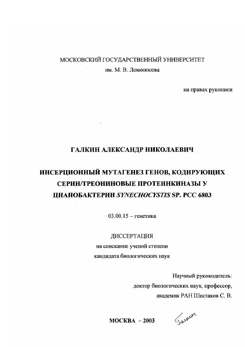 Инсерционный мутагенез генов, кодирующих серин/треониновые протеинкиназы у цианобактерии Synechocystis sp. РСС 6803