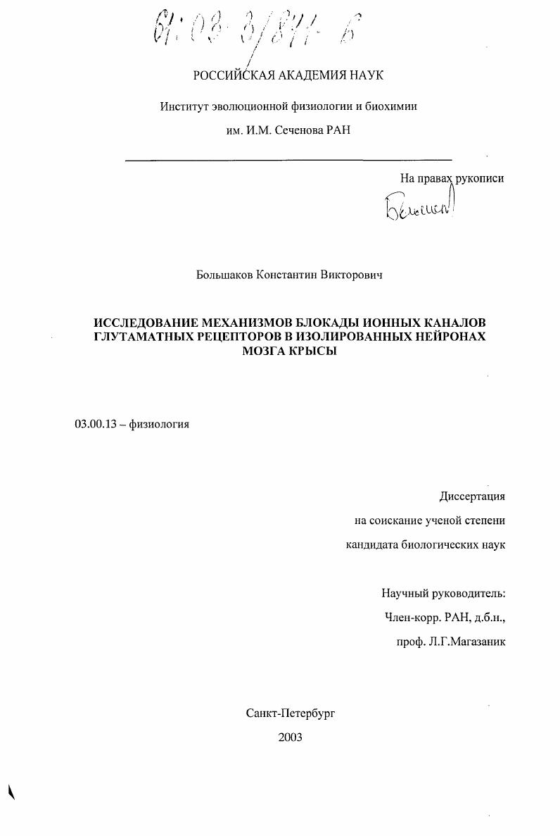 Исследование механизмов блокады ионных каналов глутаматных рецепторов в изолированных нейронах мозга крысы