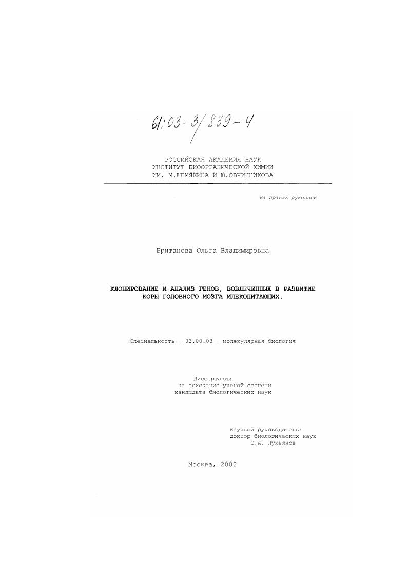 Клонирование и анализ генов, вовлеченных в развитие коры головного мозга млекопитающих