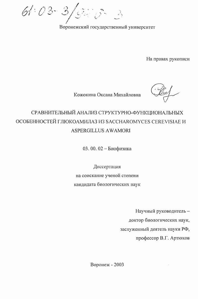 Сравнительный анализ структурно-функциональных особенностей глюкоамилаз из Saccharomyces cerevisiae и Aspergillus awamori