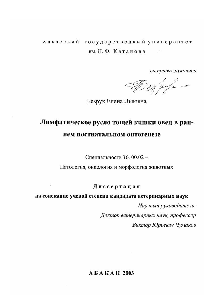 Лимфатическое русло тощей кишки овец в раннем постнатальном онтогенезе