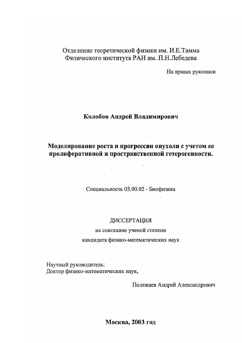 Моделирование роста и прогрессии опухоли с учетом ее пролиферативной и пространственной гетерогенности