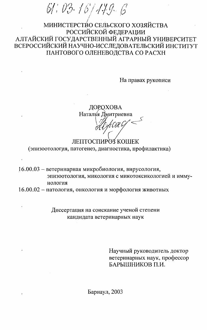 Лептоспироз кошек : Эпизоотология, патогенез, диагностика, профилактика