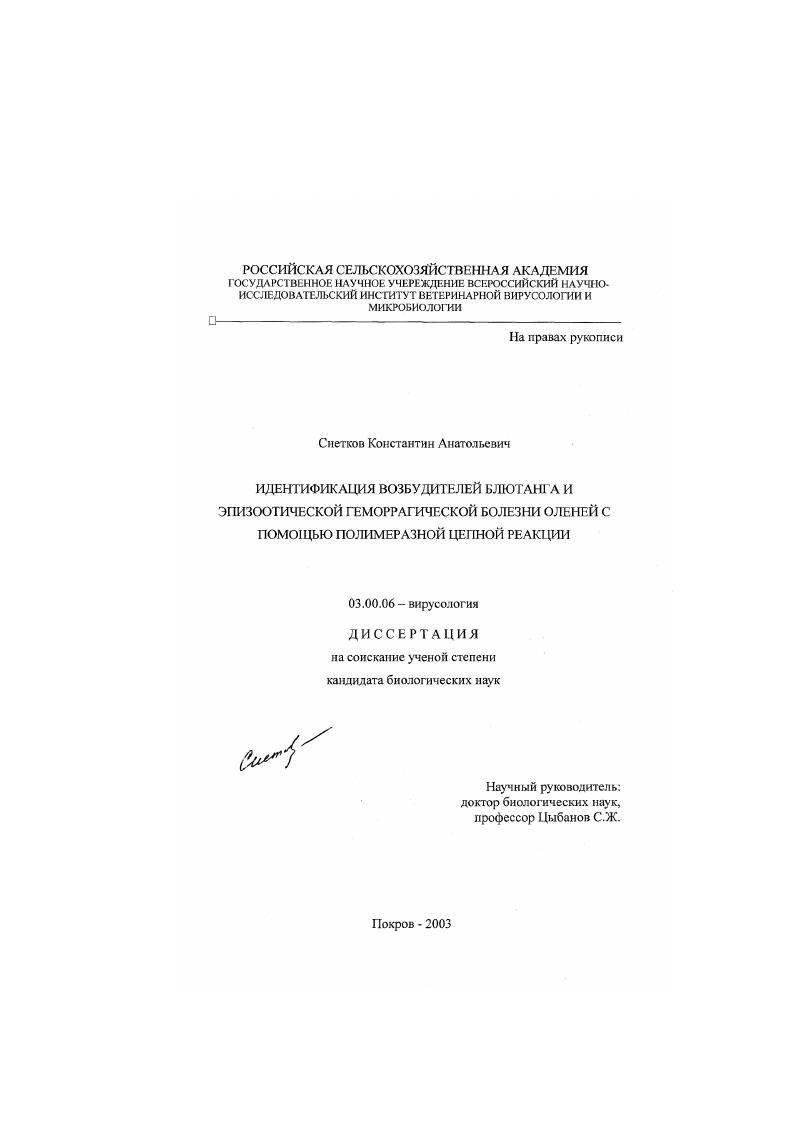 Идентификация возбудителей блютанга и эпизоотической геморрагической болезни оленей с помощью полимеразной цепной реакции