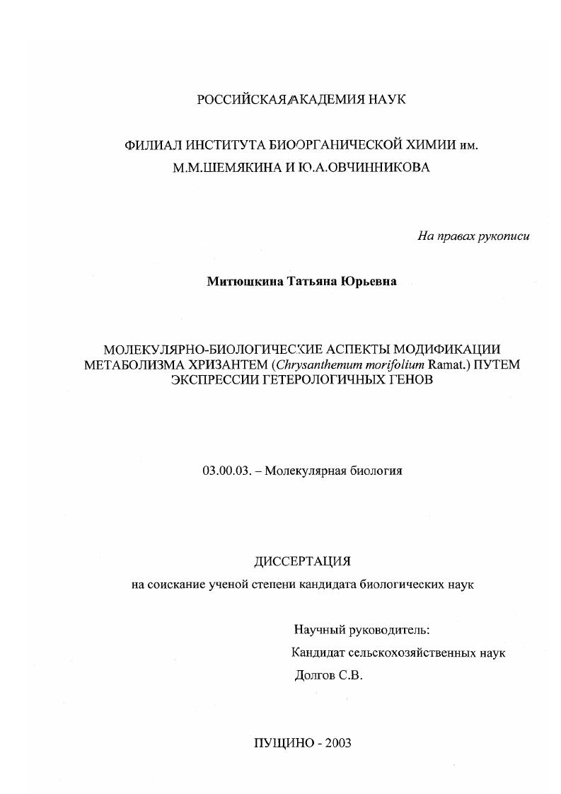Молекулярно-биологические аспекты модификации метаболизма хризантем (Crysanthemum morifolium Ramat. ) путем экспрессии гетерологических генов