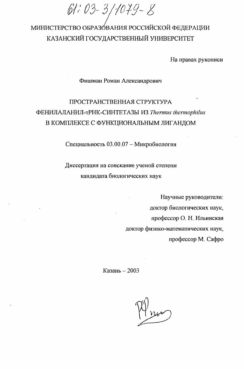 Пространственная структура фенилаланил-тРНК-синтетазы из Thermus thermophilus в комплексе с функциональным лигандом