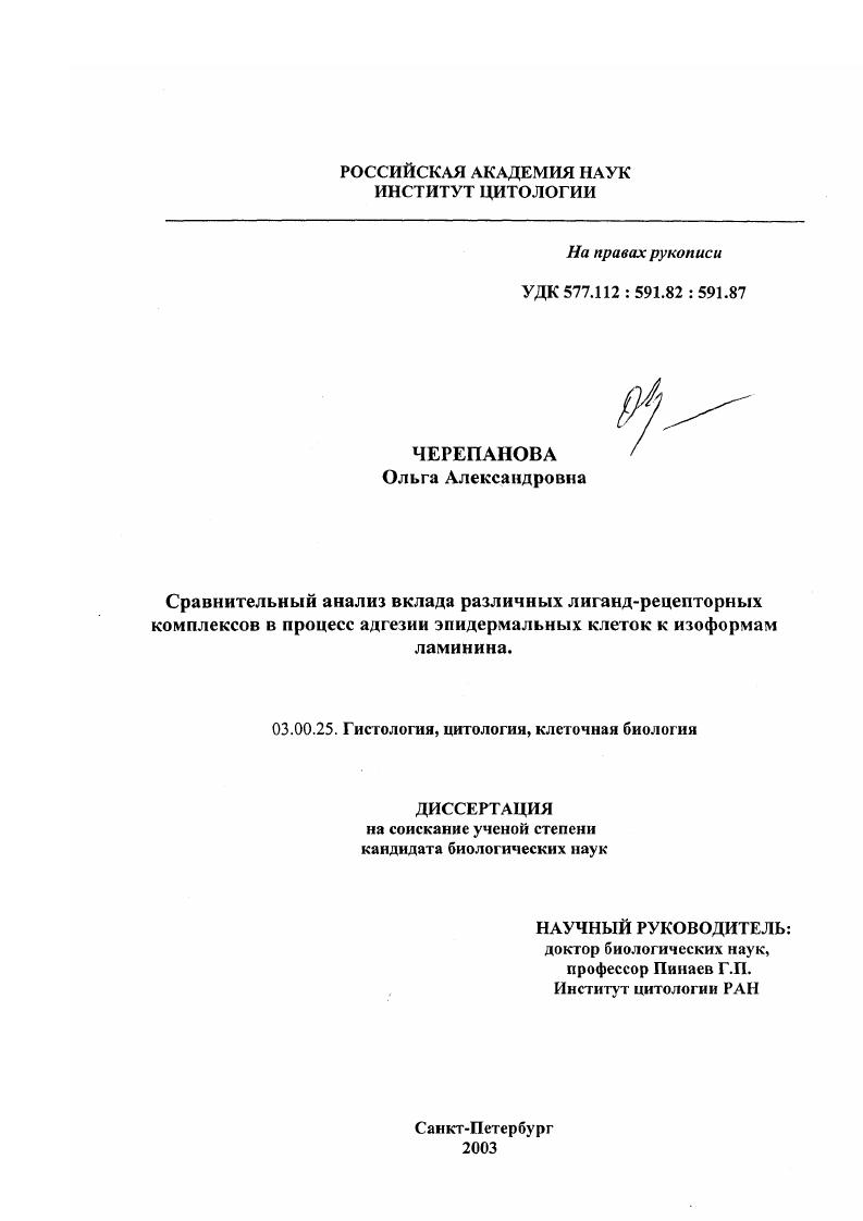 Сравнительный анализ вклада различных лиганд-рецепторных комплексов в процесс адгезии эпидермальных клеток к изоформам ламинина