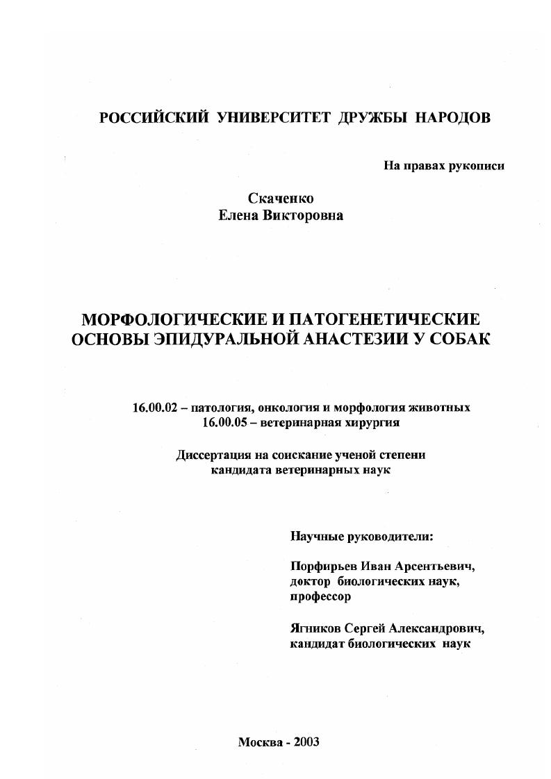 Морфологические и патогенетические основы эпидуральной анестезии у собак