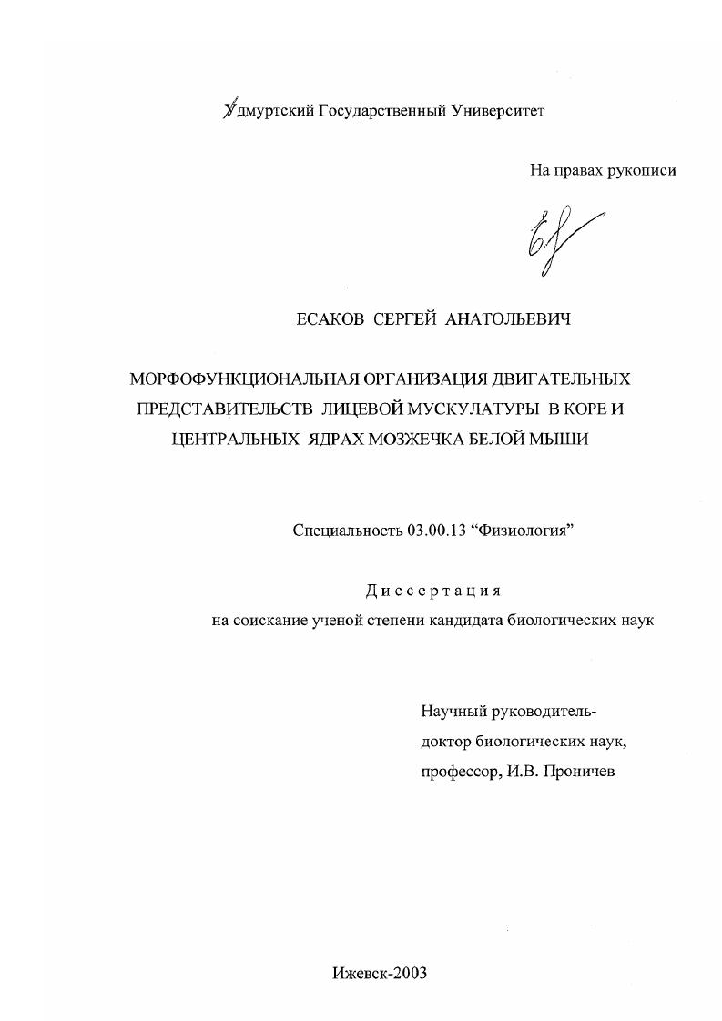 Морфофункциональная организация двигательных представительств лицевой мускулатуры в коре и центральных ядрах мозжечка белой мыши