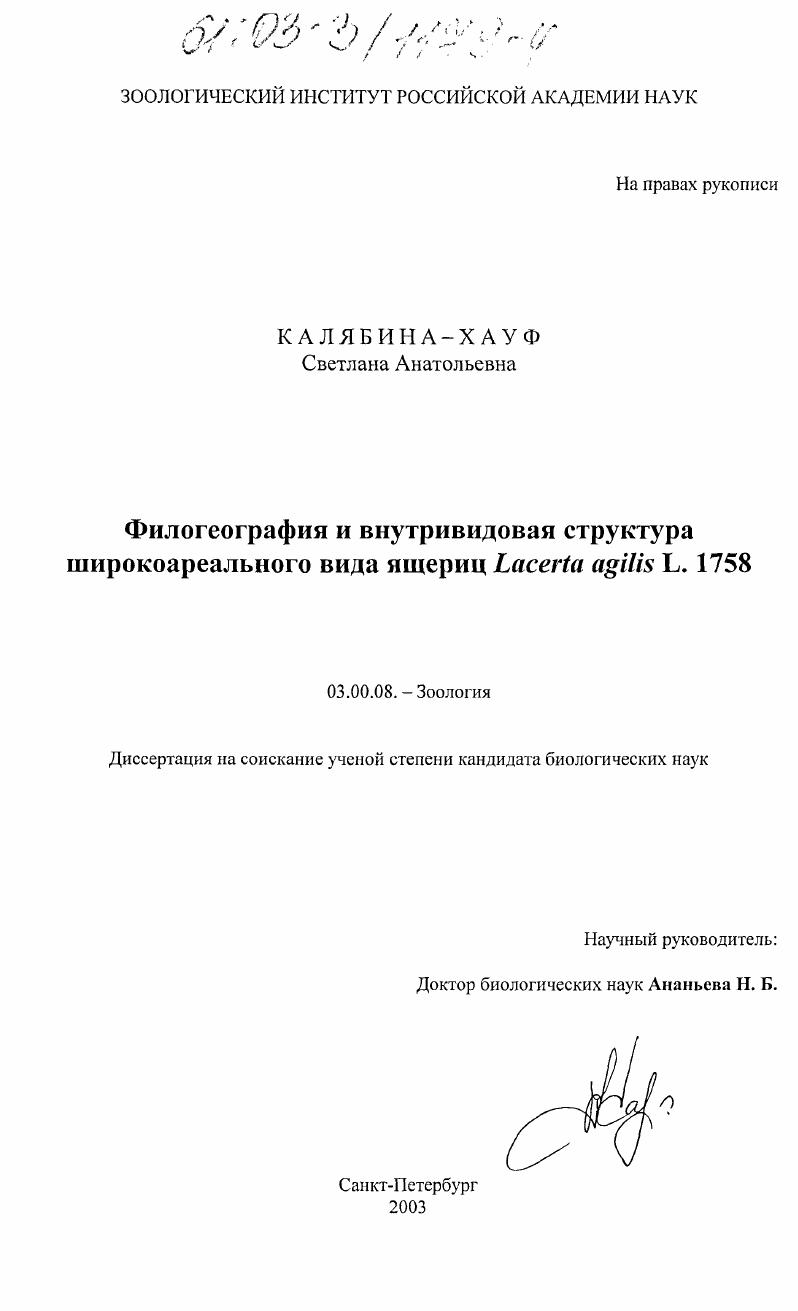 Филогеография и внутривидовая структура широкоареального вида ящериц, Lacerta agilis L. 1758