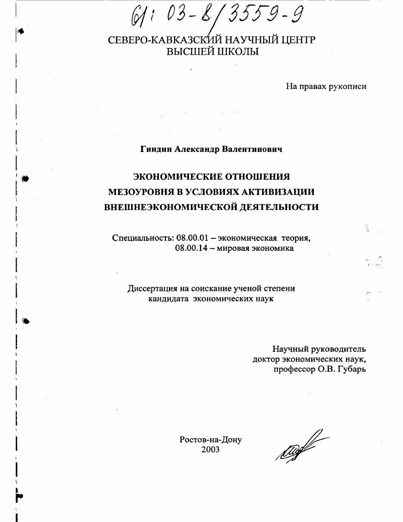 Экономические отношения мезоуровня в условиях активизации внешнеэкономической деятельности
