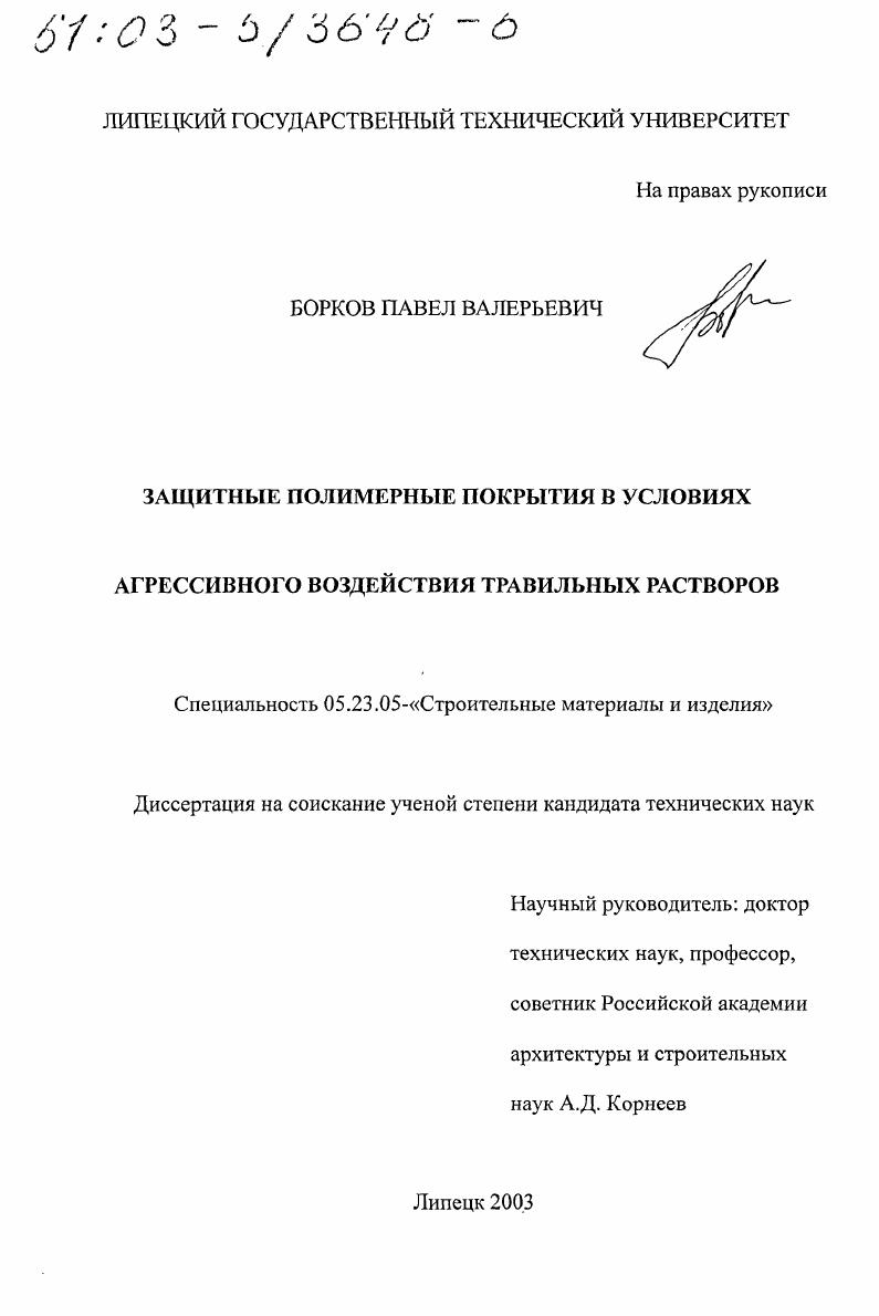 Защитные полимерные покрытия в условиях агрессивного воздействия травильных растворов