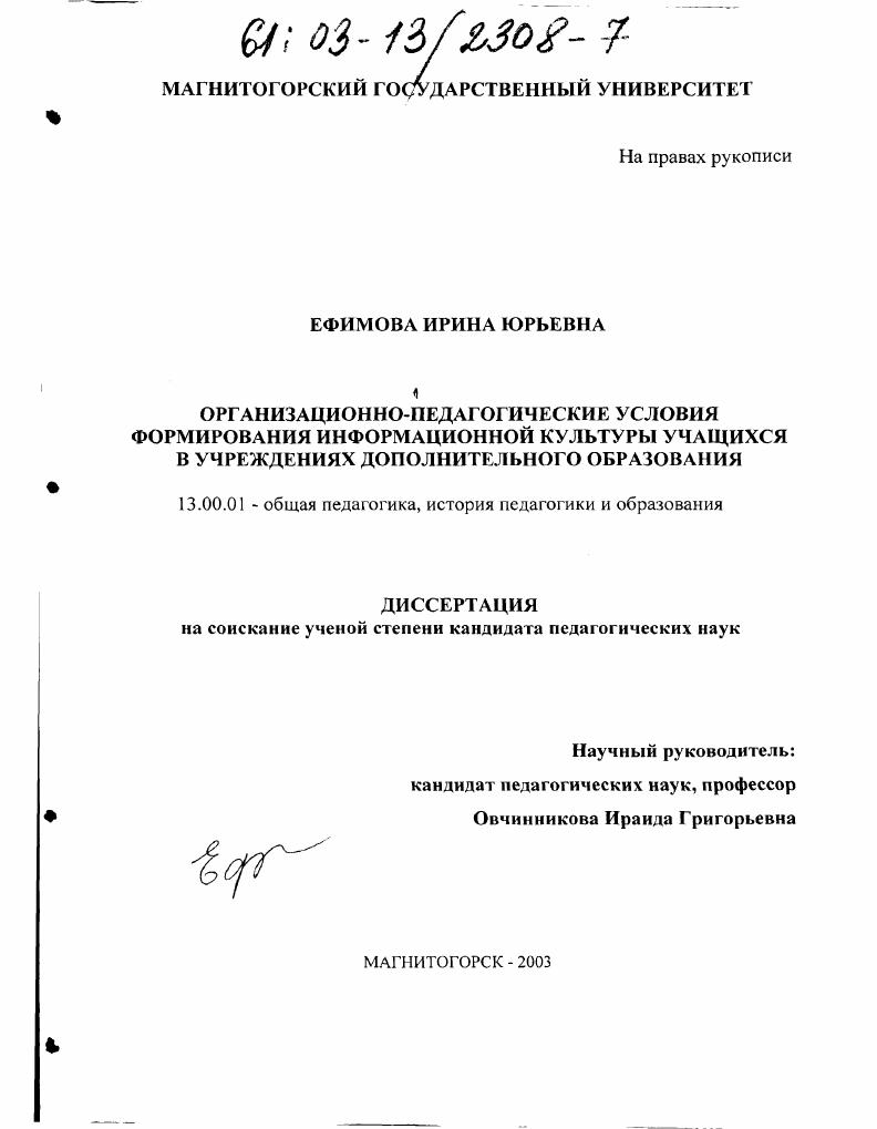 Организационно-педагогические условия формирования информационной культуры учащихся в учреждениях дополнительного образования по профилю "Информатика"