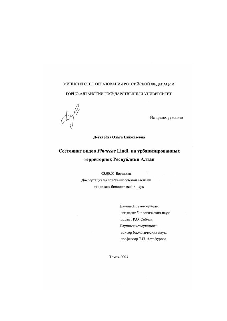 Состояние видов Pinaceae Lindl. на урбанизированных территориях Республики Алтай