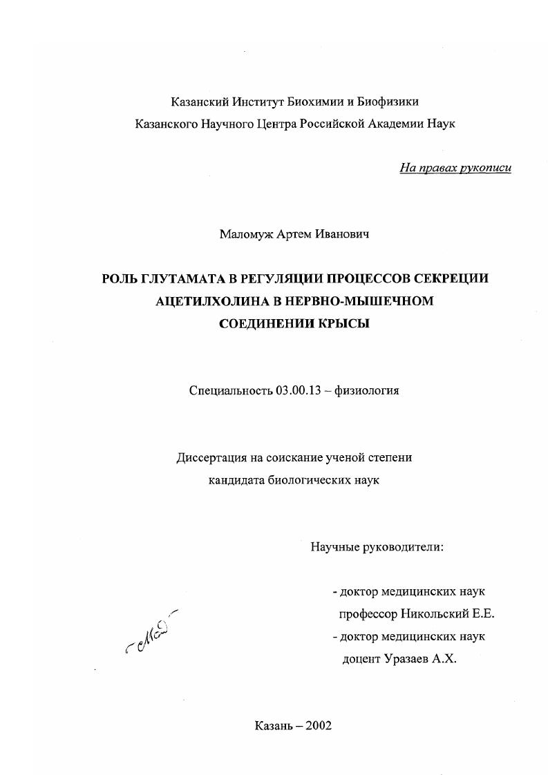 Роль глутамата в регуляции процессов секреции ацетилхолина в нервно-мышечном соединении крысы
