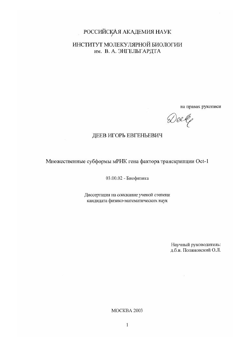 Множественные субформы мРНК гена фактора транскрипции Oct-1