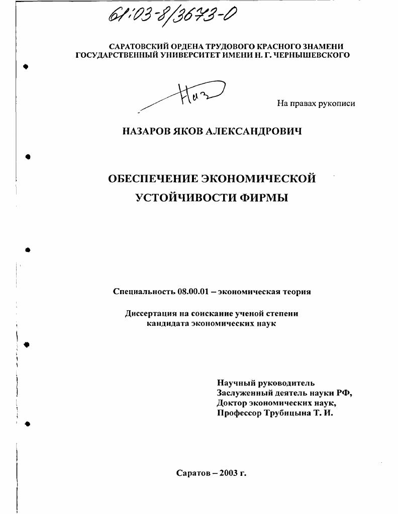 Обеспечение экономической устойчивости фирмы