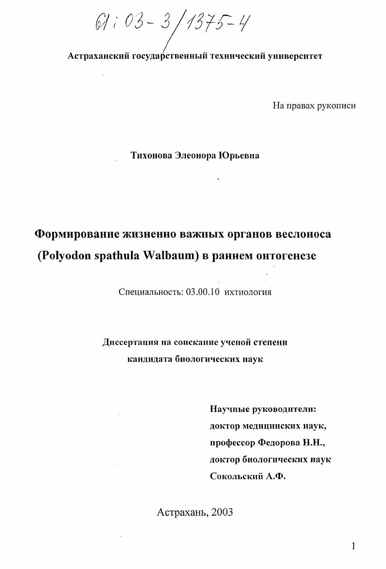 Формирование жизненно важных органов веслоноса (Polyodon spathula Walbaum) в раннем онтогенезе