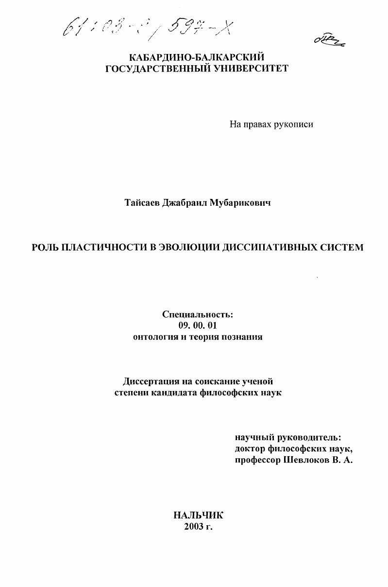 Роль пластичности в эволюции диссипативных систем
