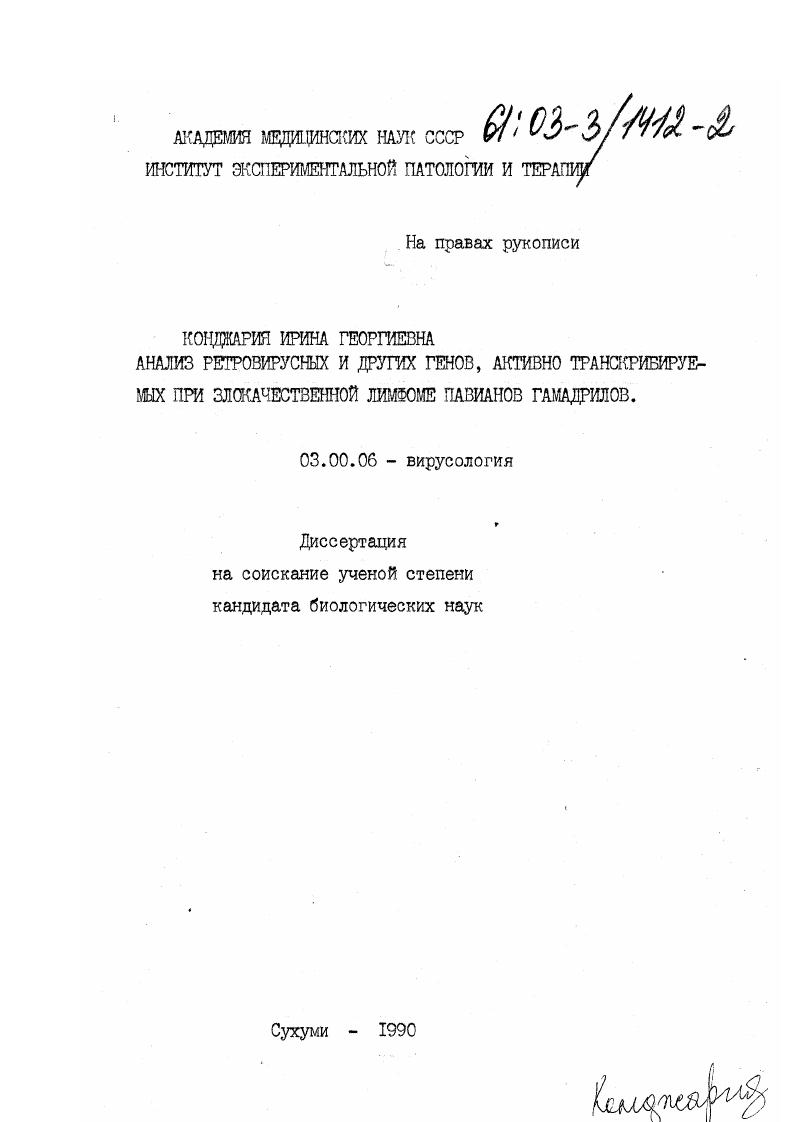 Анализ ретровирусных и других генов, активно транскрибируемых при злокачественной лимфоме павианов гамадрилов