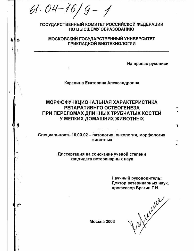 Морфофункциональная характеристика репаративного остеогенеза при переломах длинных трубчатых костей у мелких домашних животных
