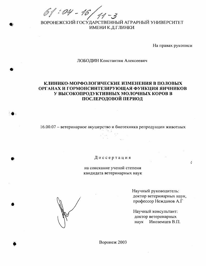Клинико-морфологические изменения в половых органах и гормоносинтезирующая функция яичников у высокопродуктивных молочных коров в послеродовой период