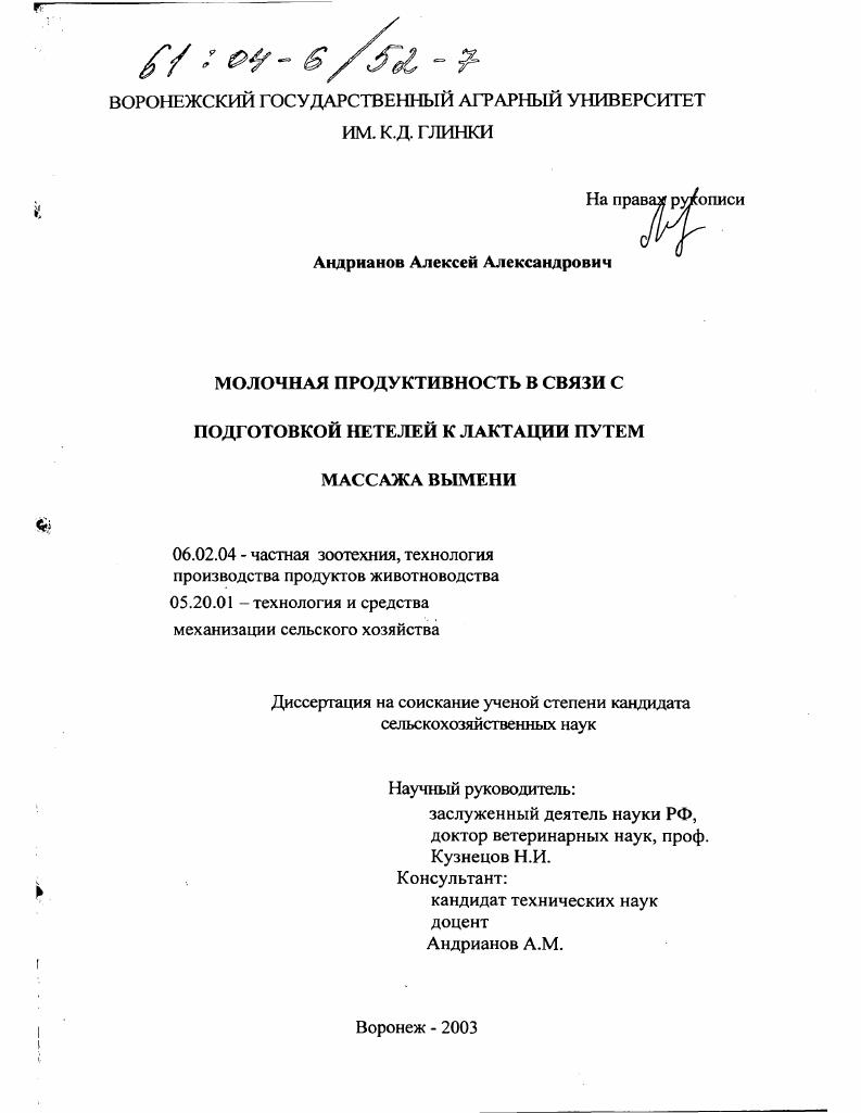 Молочная продуктивность в связи с подготовкой нетелей к лактации путем массажа вымени