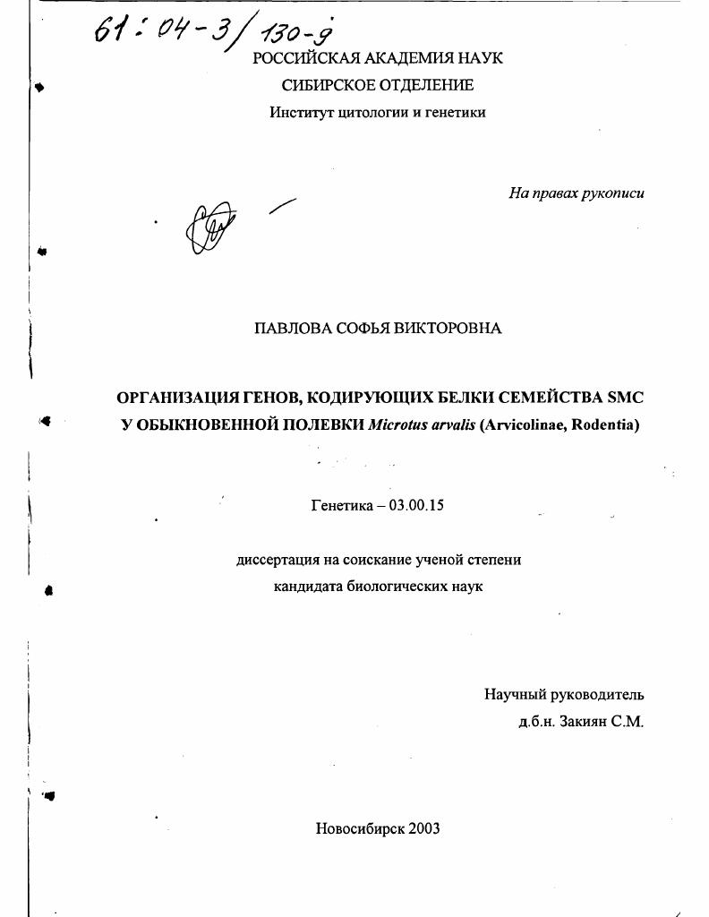 Организация генов, кодирующих белки семейства SMC у обыкновенной полевки Microtus arvalis : Arvicolinae, Rodentia