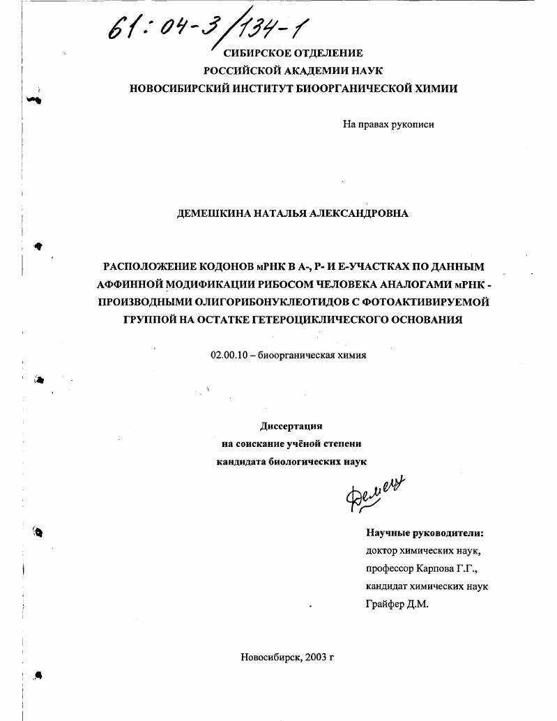 Расположение кодонов мРНК в А-, Р- и Е-участках по данным аффинной модификации рибосом человека аналогами мРНК - производными олигорибонуклеотидов с фотоактивируемой группой на остатке гетероциклического основания