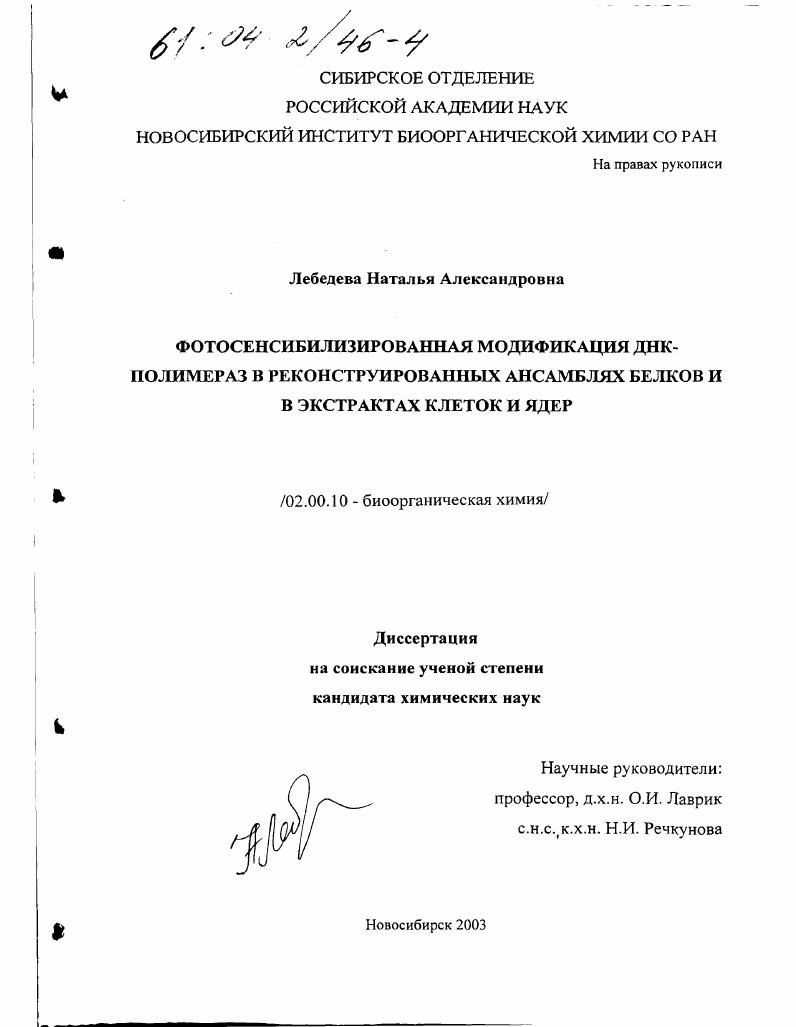 Фотосенсибилизированная модификация ДНК-полимераз в реконструированных ансамблях белков и в экстрактах клеток и ядер