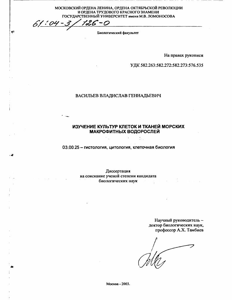 Изучение культур клеток и тканей морских макрофитных водорослей