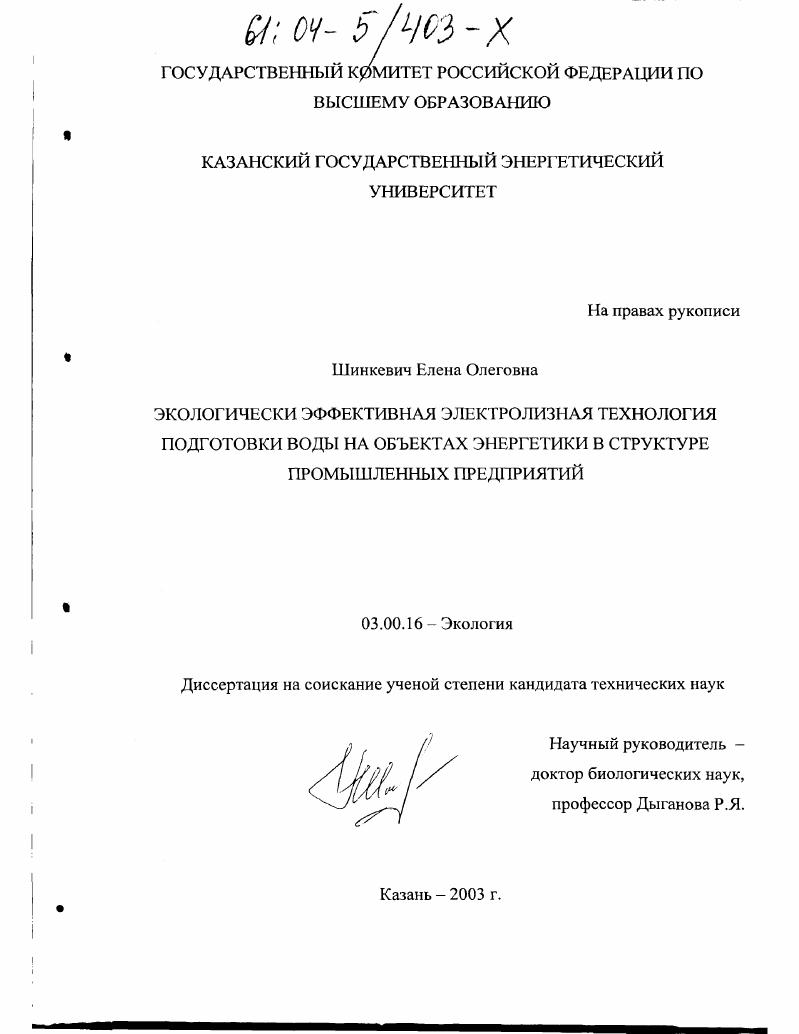 Экологически эффективная электролизная технология подготовки воды на объектах энергетики в структуре промышленных предприятий