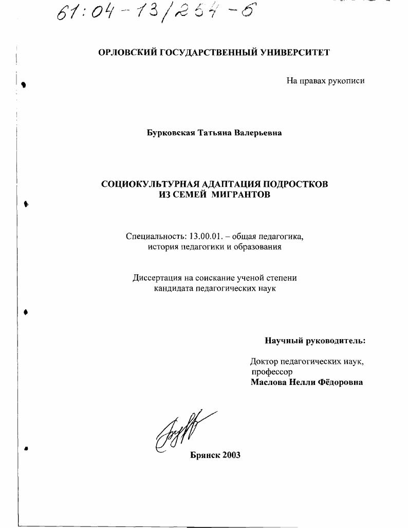 Социокультурная адаптация подростков из семей мигрантов