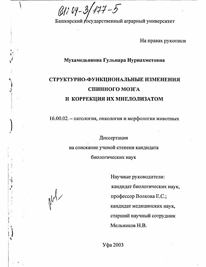 Структурно-функциональные изменения спинного мозга и коррекция их миелолизатом