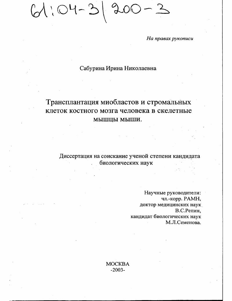 Трансплантация миобластов и стромальных клеток костного мозга человека в скелетные мышцы мыши