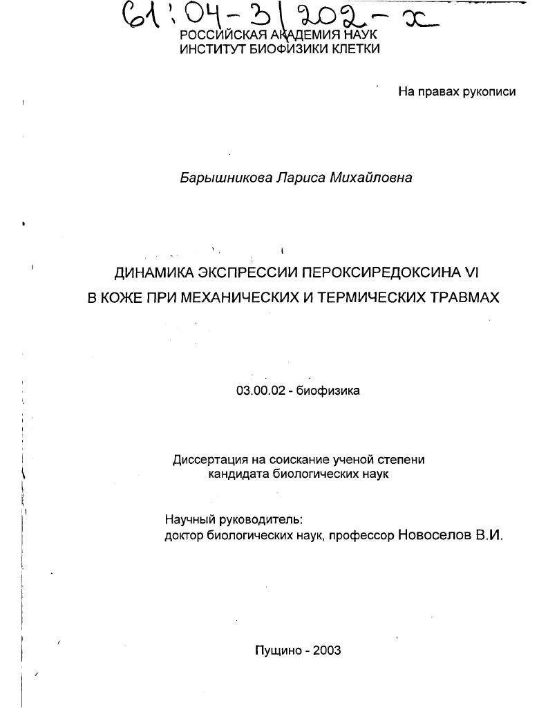 Динамика экспрессии пероксиредоксина VI в коже при механических и термических травмах